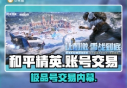 和平精英单人辅助软件免费下载苹-和平精英代练接单平台哪个好